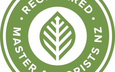 Raising the Bar for Auckland Tree Care: Hardfell Gains NZARB, Tōtika, and SiteWise Gold Accreditations