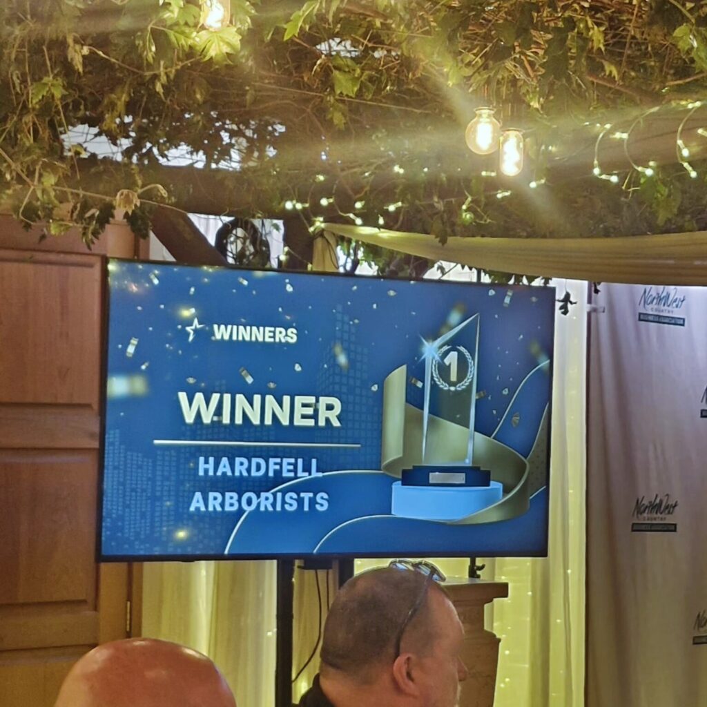 Registered Master Arborist Hardfell crew in Kumeū Auckland