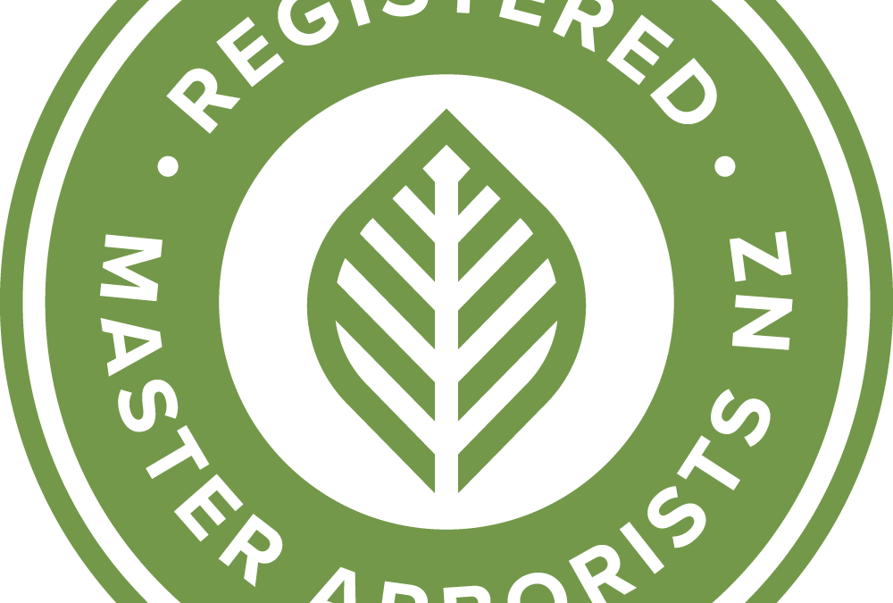 Raising the Bar for Auckland Tree Care: Hardfell Gains NZARB, Tōtika, and SiteWise Gold Accreditations