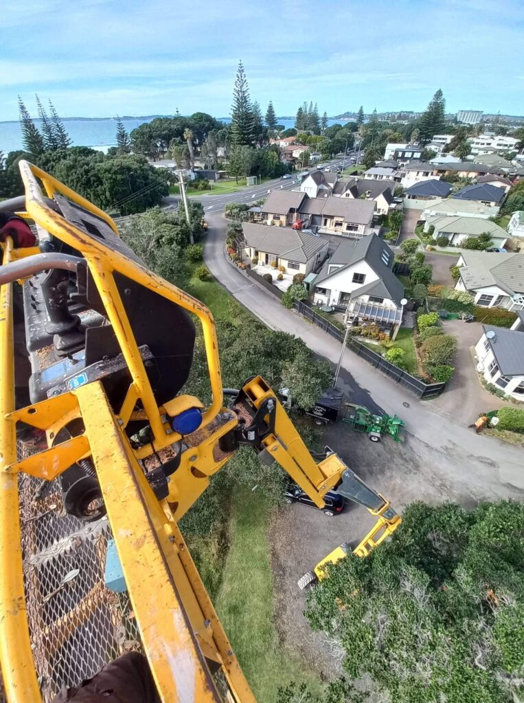 MEWP used for tree removals