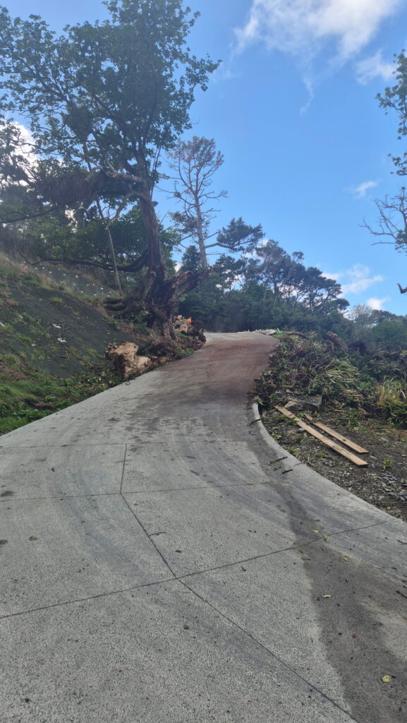 Construction site access restored following emergency tree removal