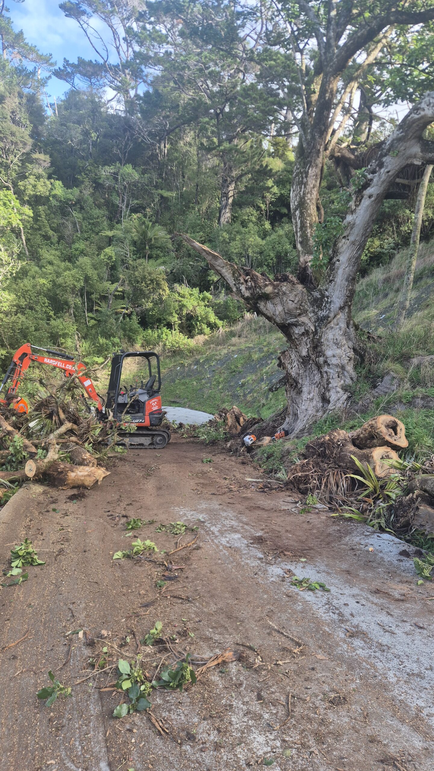 Hardfell digger assisting with hazardous tree removal near Warkworth