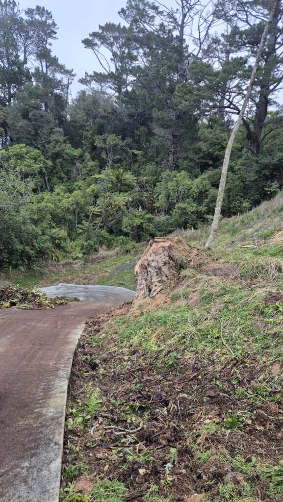 Completed hazardous tree removal on Martins Bay Road near Warkworth