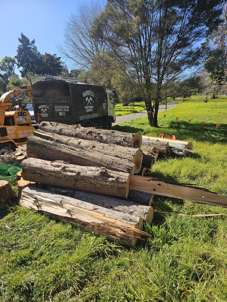 Firewood stacked neatly after a Hardfell tree removal in Auckland.