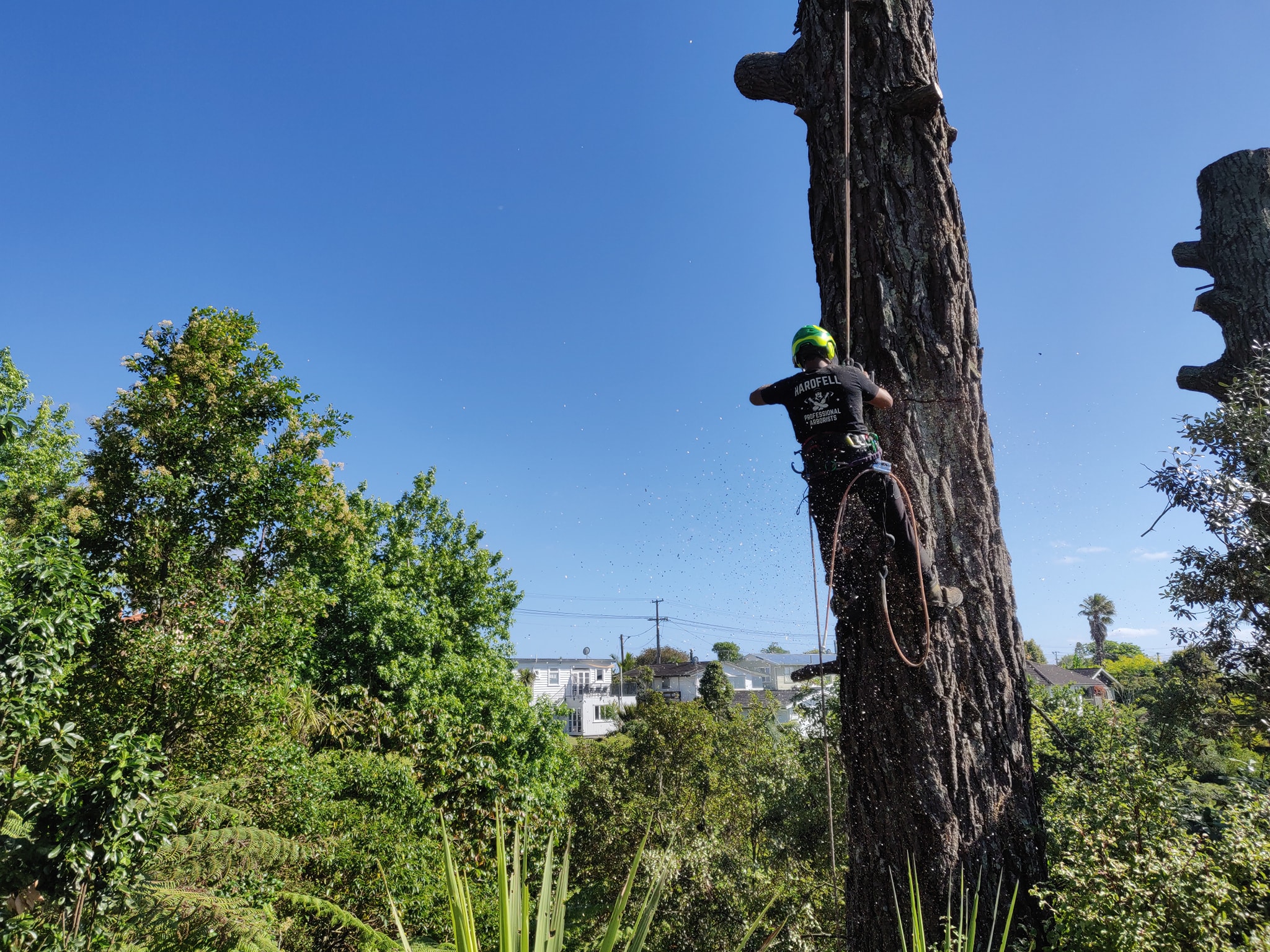 Hardfell emergency tree work