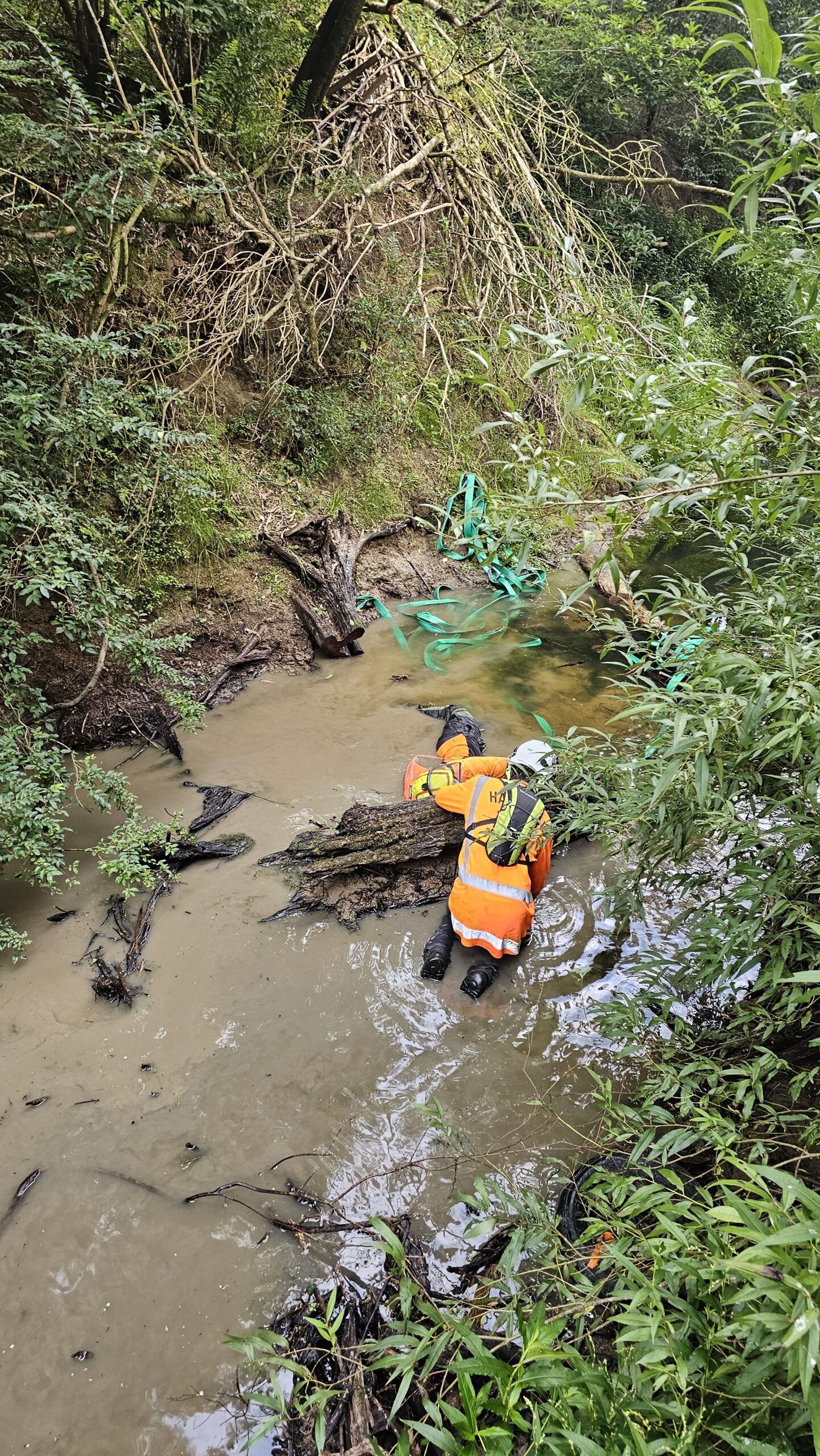 Hardfell arborists clearing storm debris from Rangitopuni Stream in Coatesville