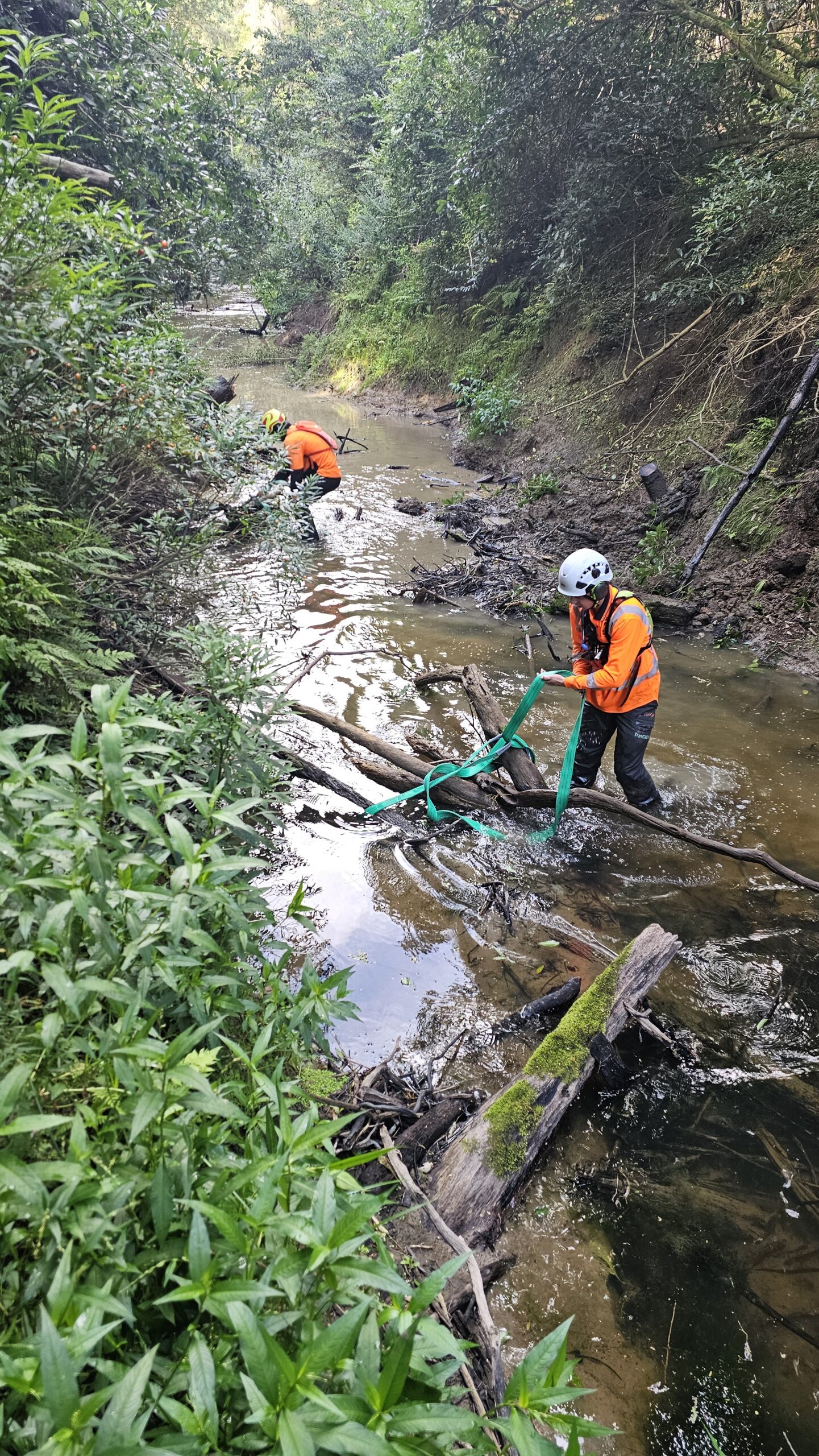 Hardfell arborists rigging timber for helicopter removal in Rangitopuni Stream