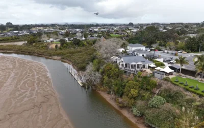 Drone Tree Removal NZ: DJI T100 at Riverhead Tavern