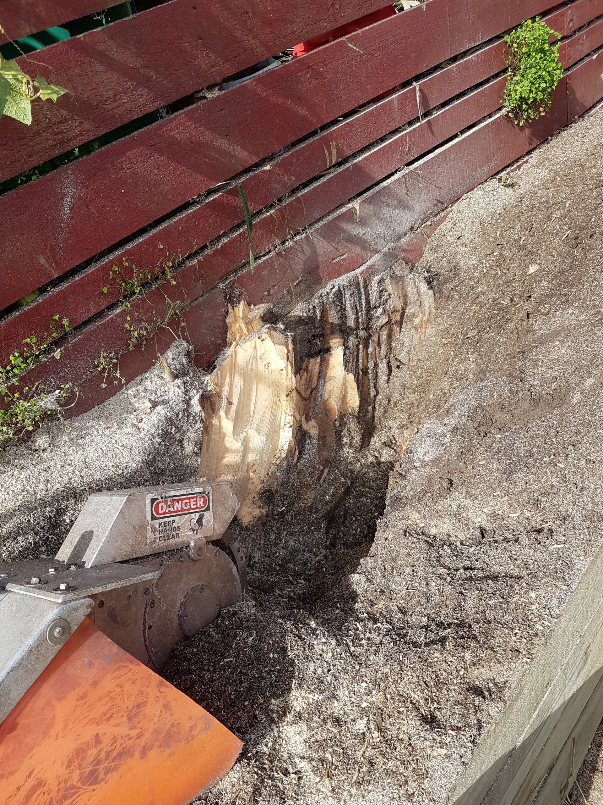 Alpine chainsaw-mounted stump grinder working beside a fence