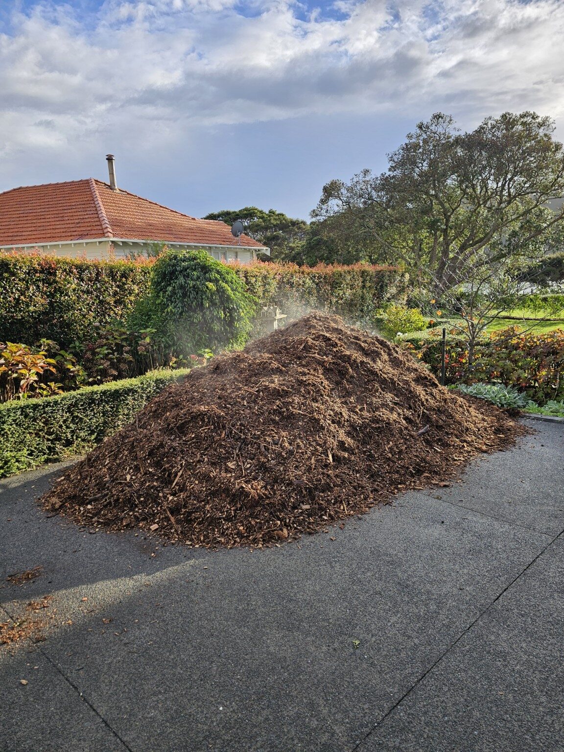 Large mound of aged arborist mulch delivered to an Auckland garden