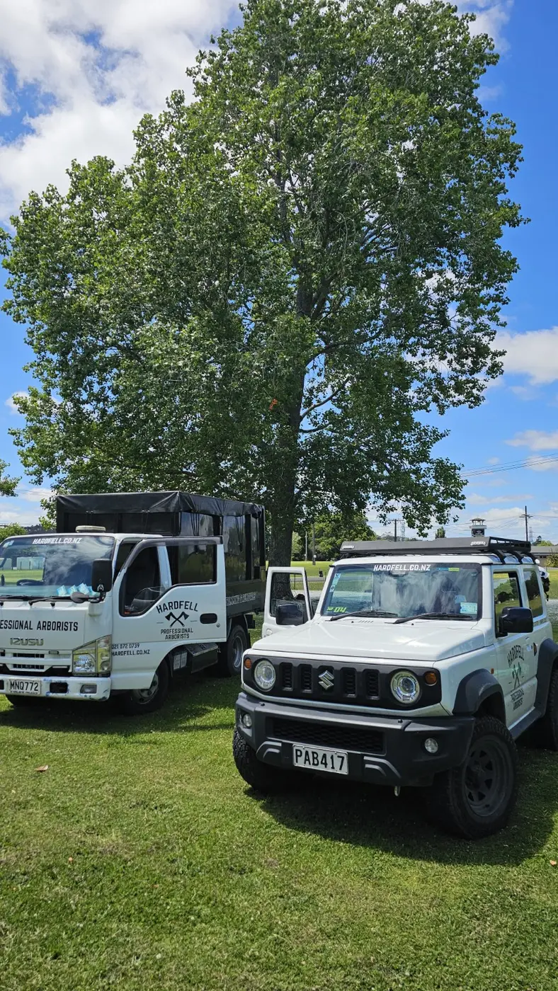 Hardfell vehicles beside a tree during arborist rescue training in Kumeū