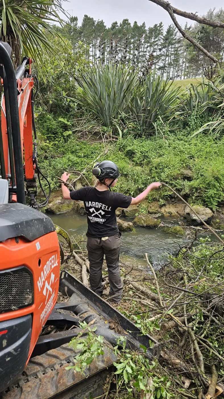 Hardfell arborist using ropes during creek clearance work in Kumeū