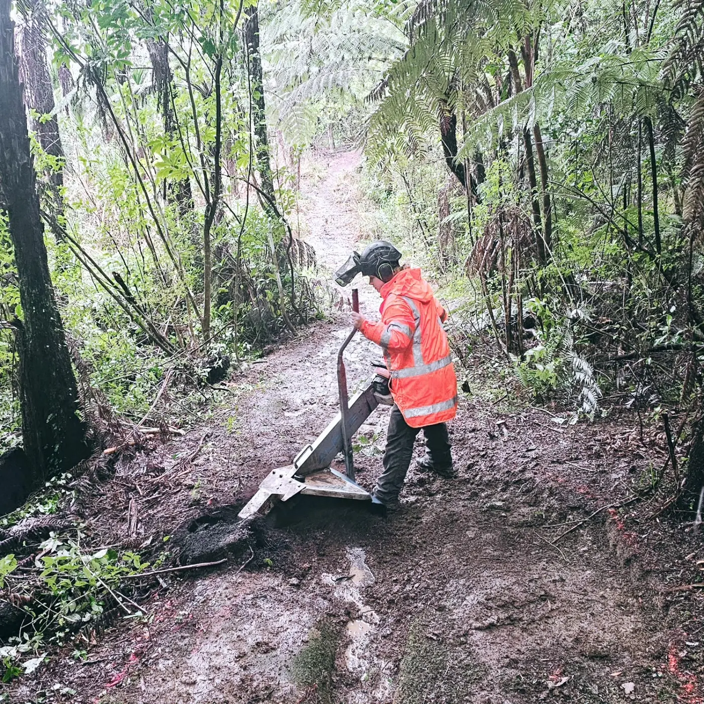 Hardfell arborist operating an Alpine chainsaw-mounted stump grinder in restricted bush access
