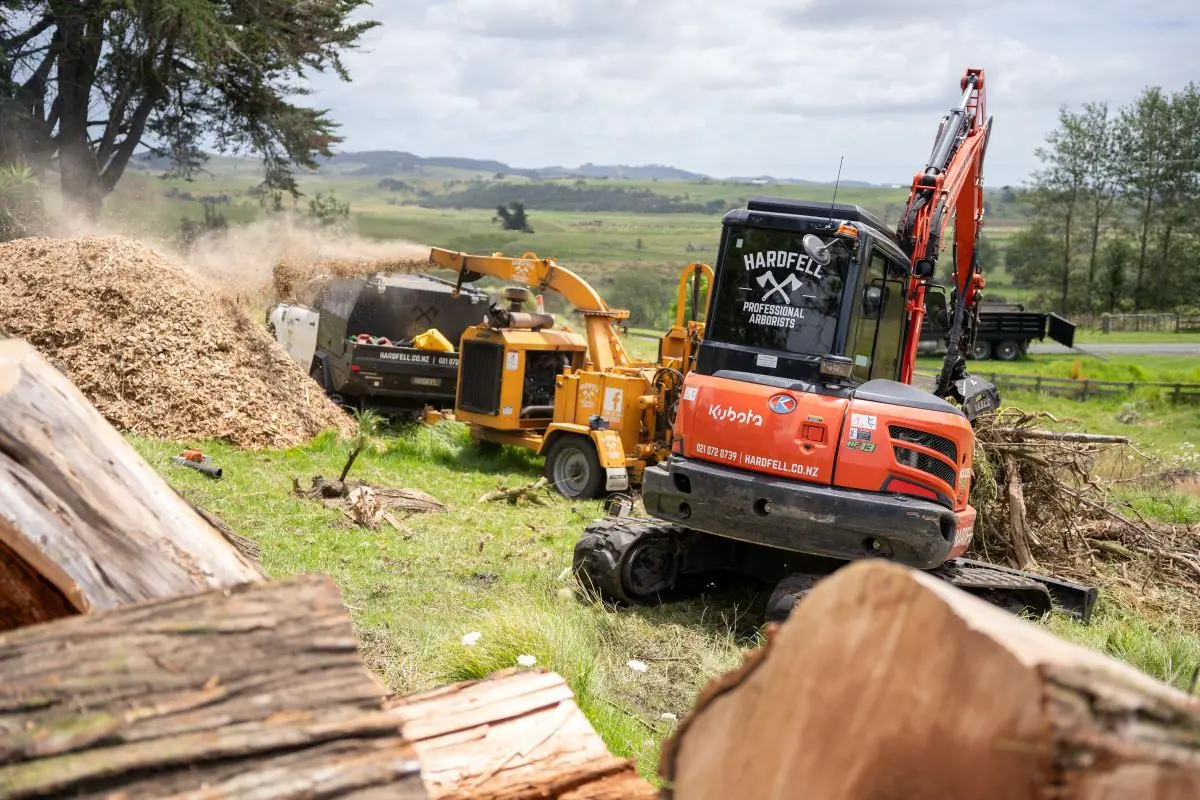 Hardfell commercial arborists completing technical tree work in Auckland
