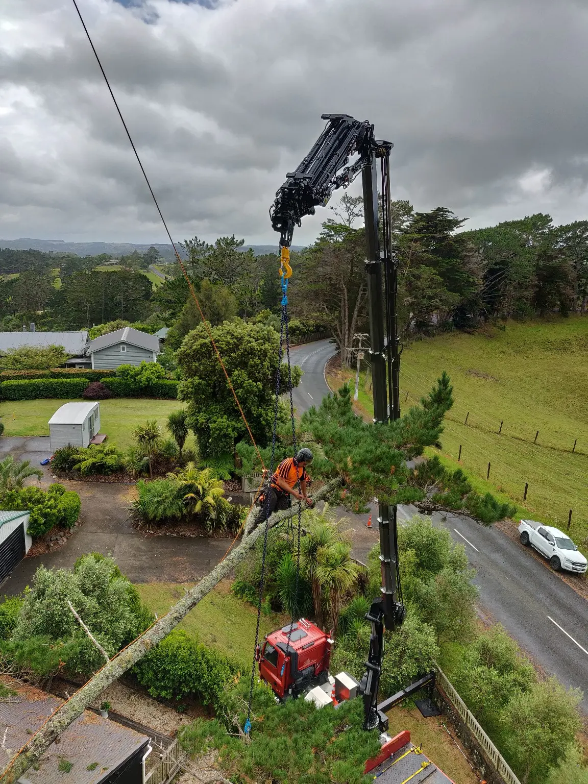 Hardfell climber and Hiab completing controlled tree work in Kumeū