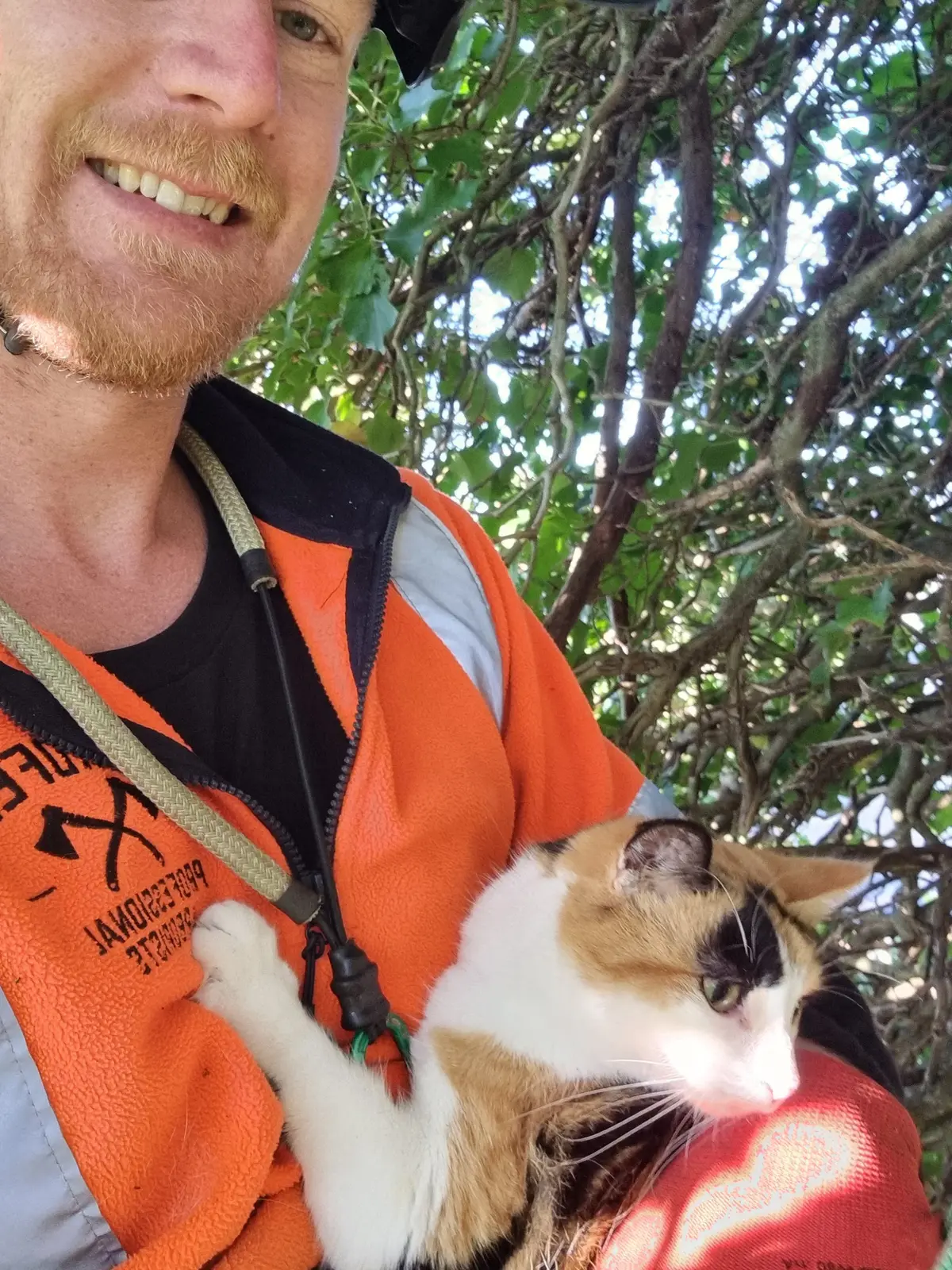 Shaun from Hardfell holding a rescued cat safely in an Auckland tree canopy