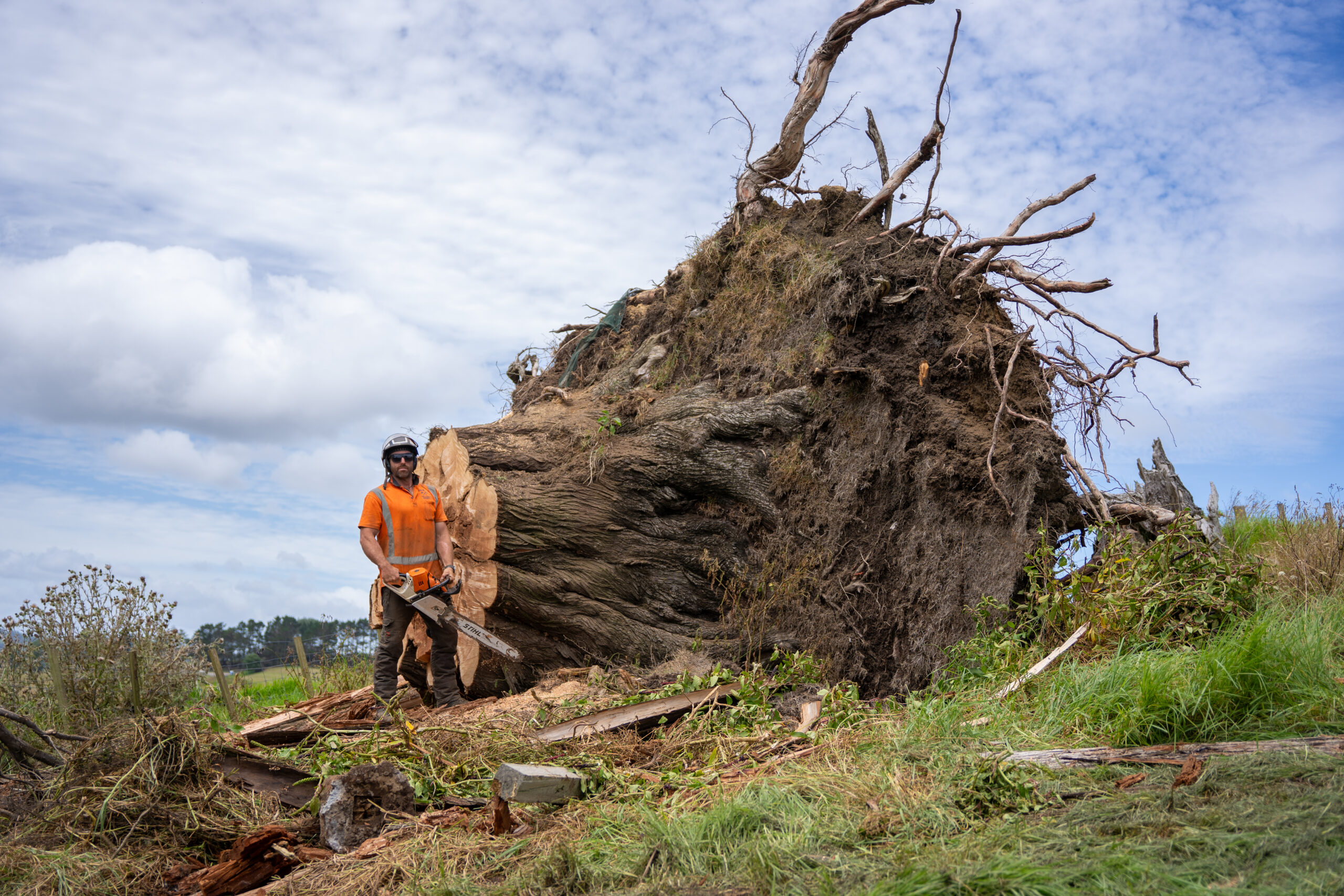 Taylor Blaikie holding a chainsaw beside a large uprooted tree on a Hardfell worksite