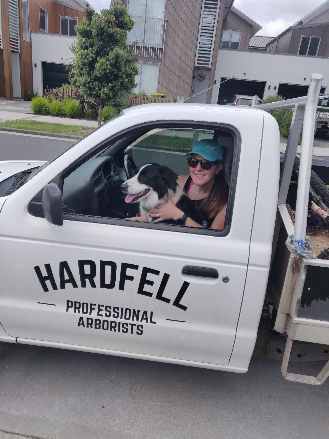 Mollie the Border Collie sitting in the cab of a Hardfell work truck